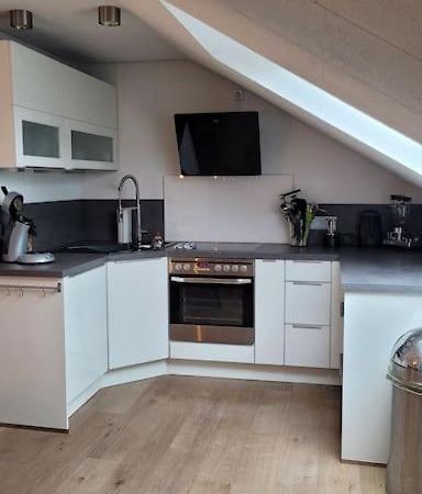 Apartment Schwarzwaldmaedel Friedenweiler エクステリア 写真