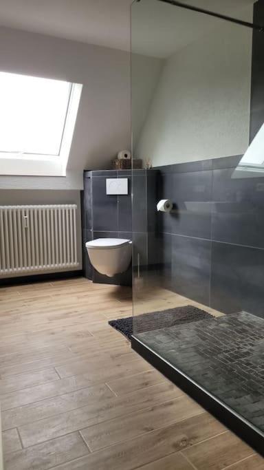 Apartment Schwarzwaldmaedel Friedenweiler エクステリア 写真