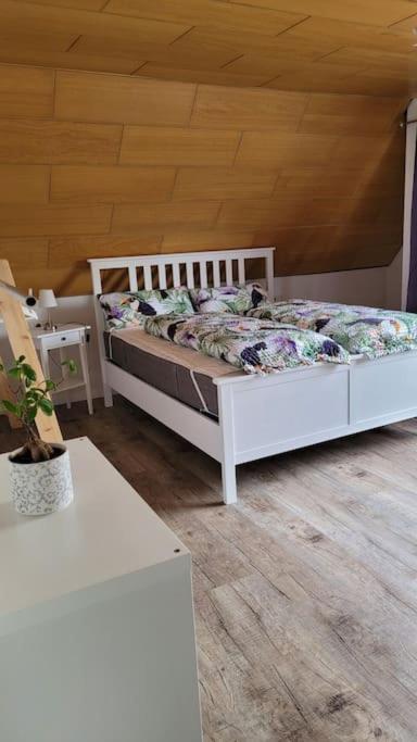 Apartment Schwarzwaldmaedel Friedenweiler エクステリア 写真