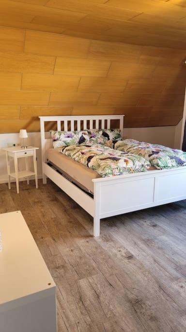 Apartment Schwarzwaldmaedel Friedenweiler エクステリア 写真