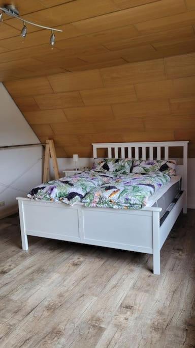 Apartment Schwarzwaldmaedel Friedenweiler エクステリア 写真