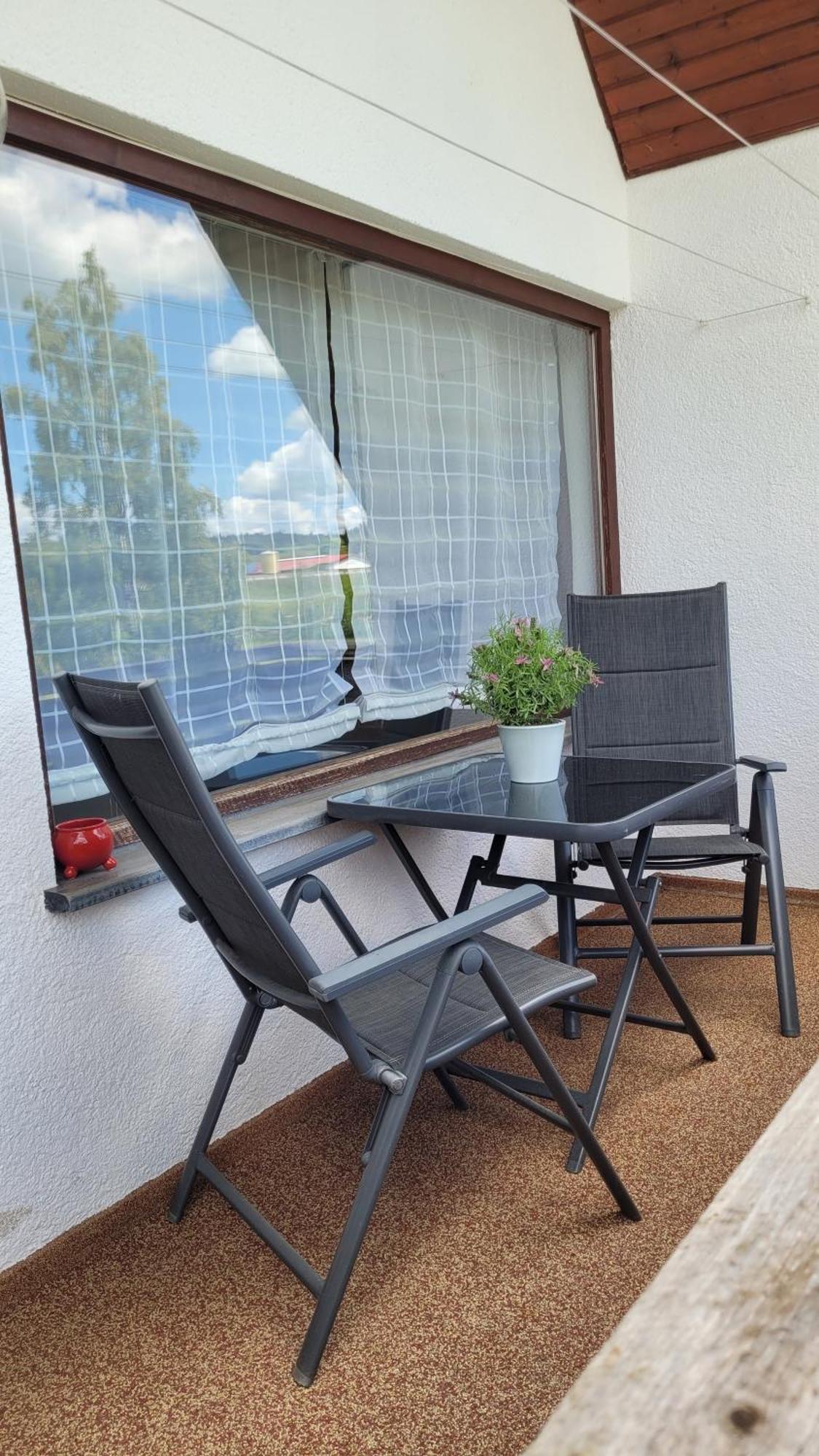 Apartment Schwarzwaldmaedel Friedenweiler エクステリア 写真