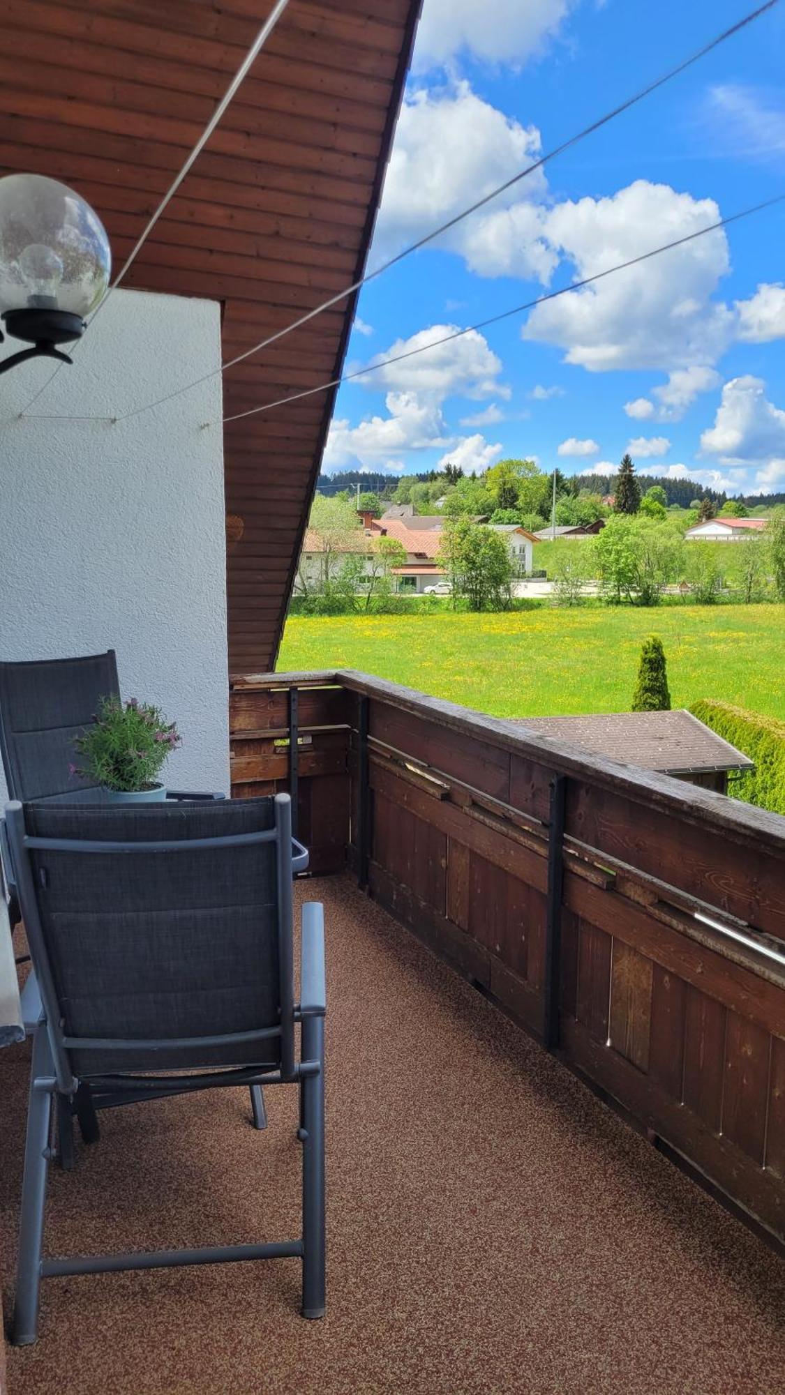Apartment Schwarzwaldmaedel Friedenweiler エクステリア 写真